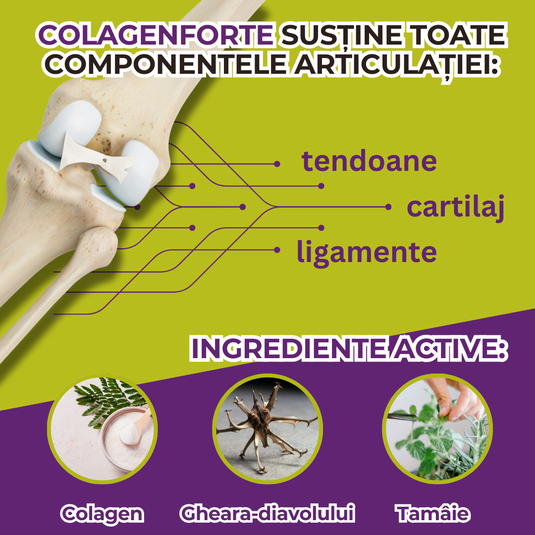 ColagenForte – Sprijin pentru oase si articulatii