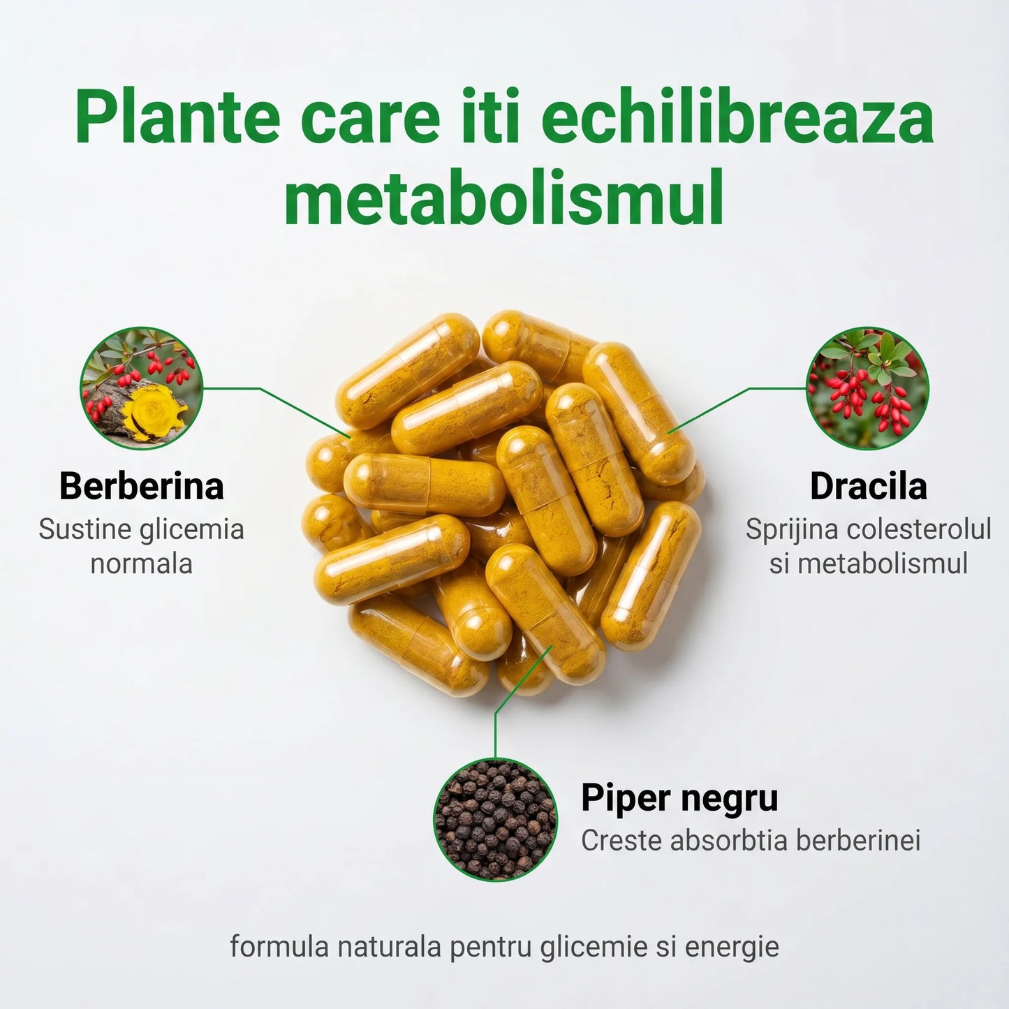 BerberinaForte - Sprijin pentru metabolism și vitalitate (test)