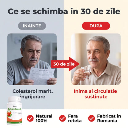 ColesteSuport - Sprijin natural pentru colesterol și circulație (test)
