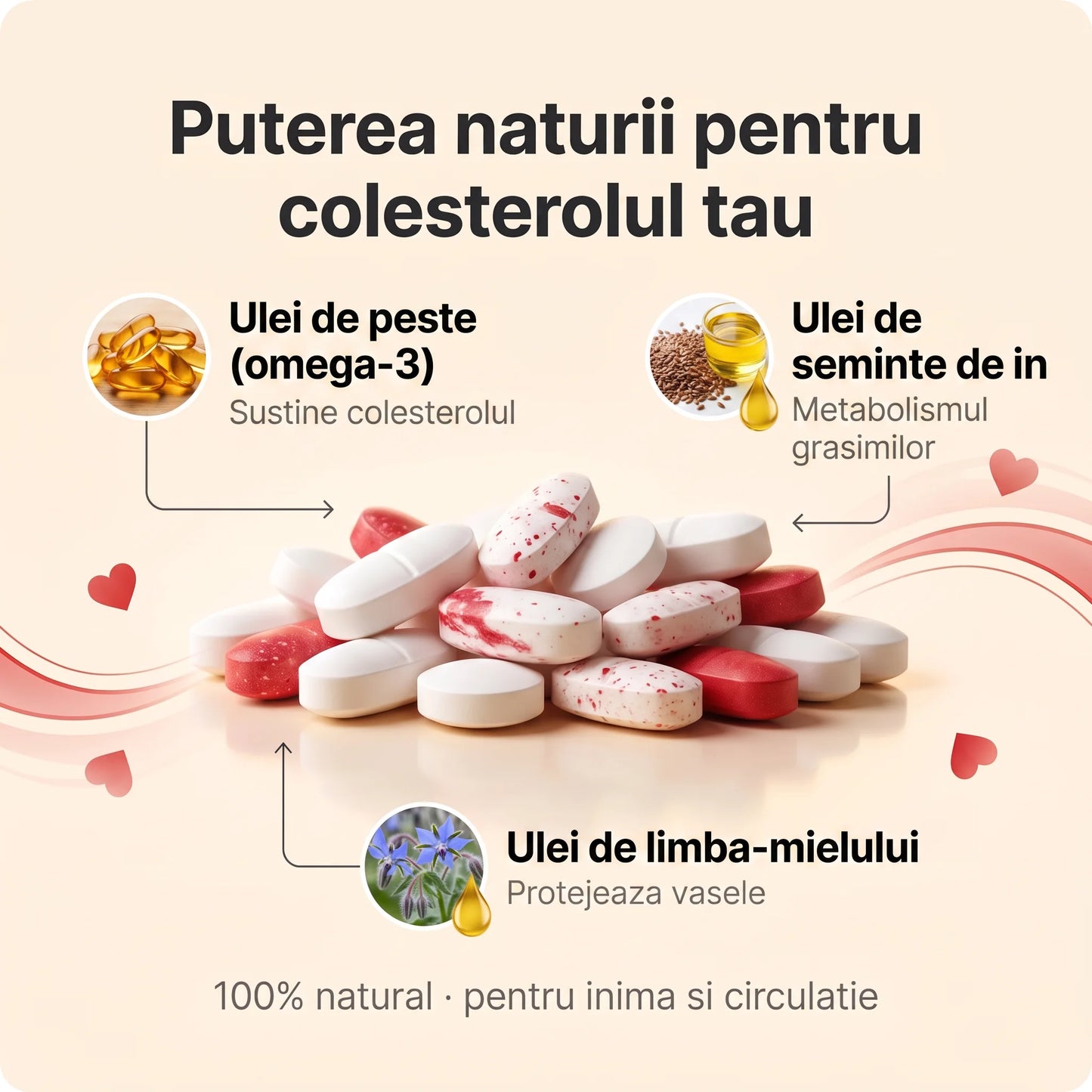 ColesteSuport - Sprijin natural pentru colesterol și circulație (test)