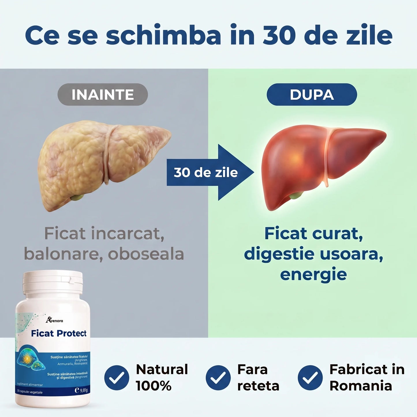 Ficat Protect - Ficat sănătos și digestie ușoară (test)