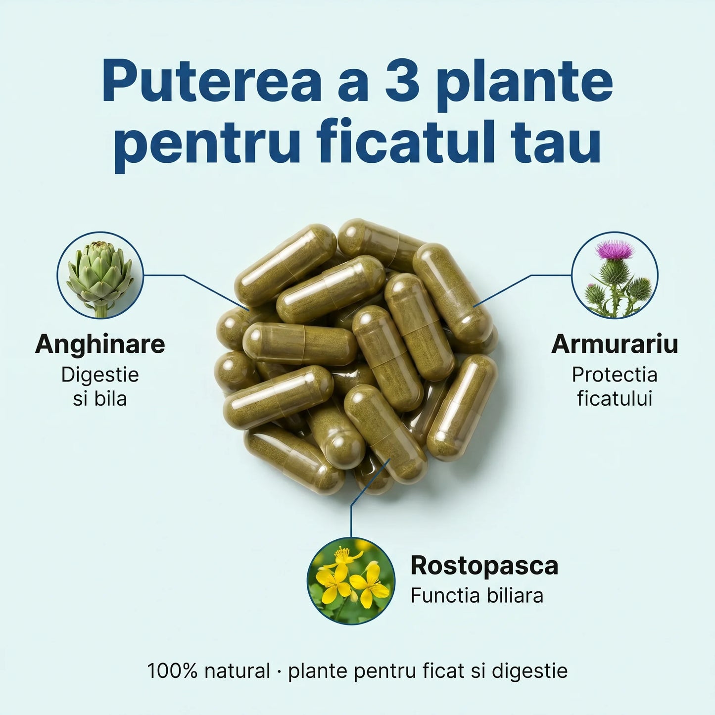 Ficat Protect - Ficat sănătos și digestie ușoară (test)