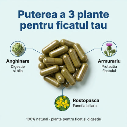 Ficat Protect - Ficat sănătos și digestie ușoară (test)
