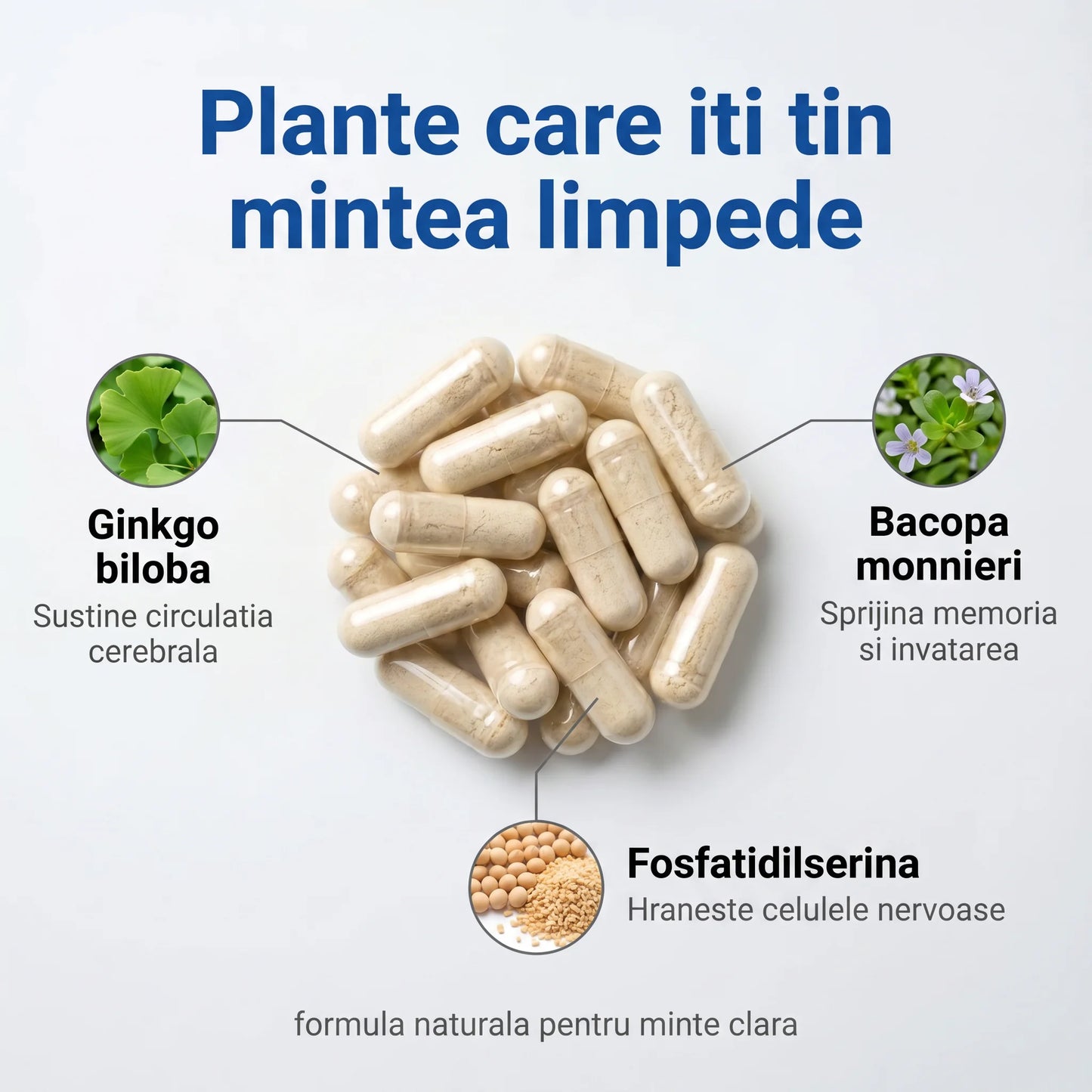MemoActiv - Memorie, concentrare și claritate mentală (test)