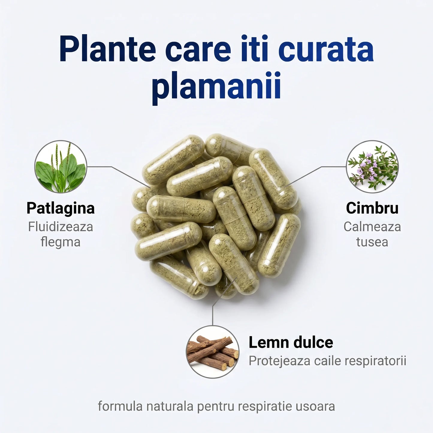 PlamaniForte - Susținere naturală pentru plămâni (test)