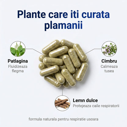 PlamaniForte - Susținere naturală pentru plămâni (test)