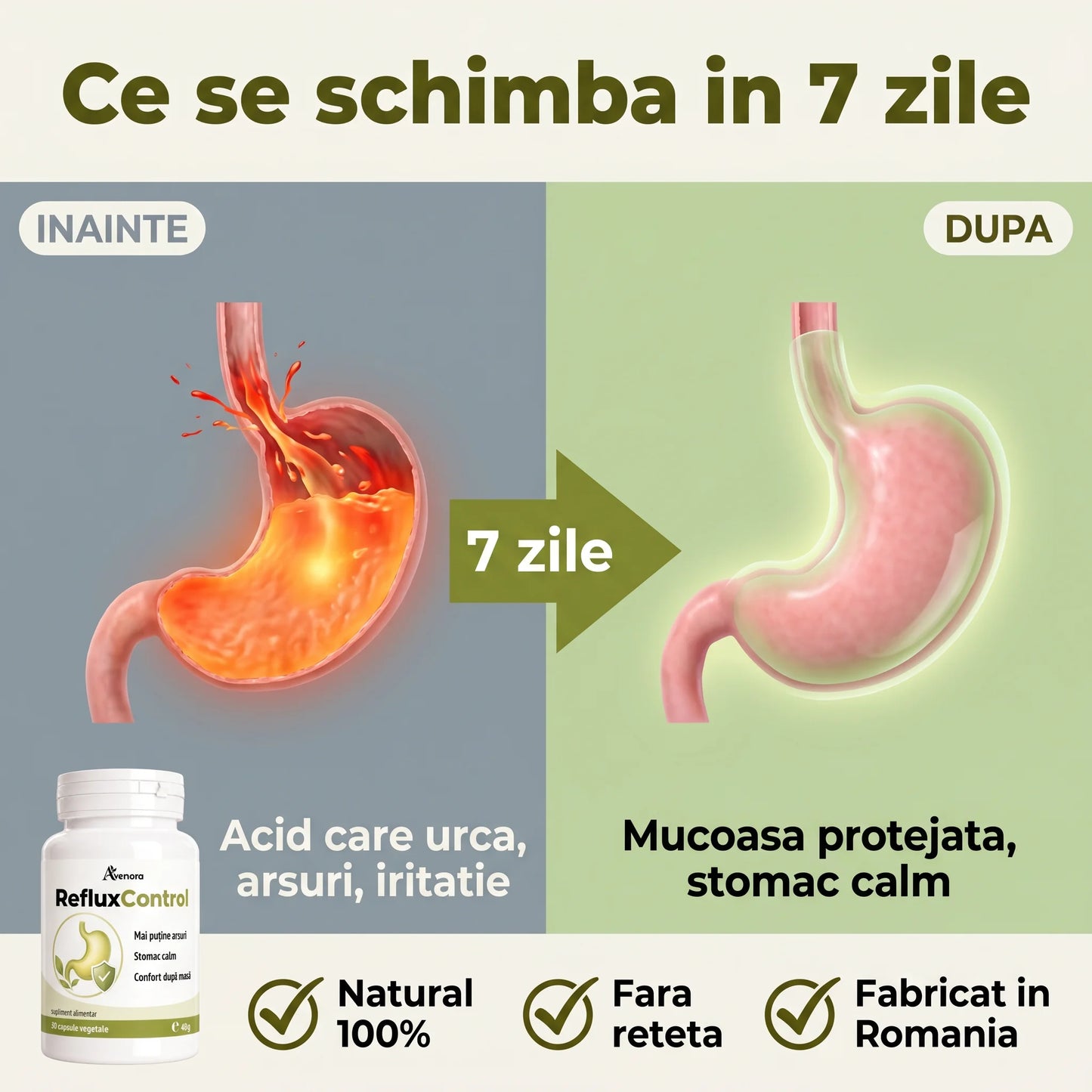 RefluxControl - Confort gastric după fiecare masă (test)