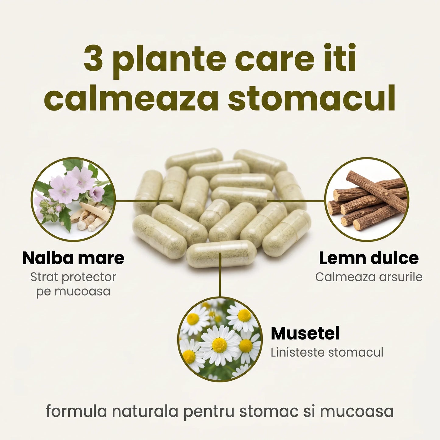 RefluxControl - Confort gastric după fiecare masă (test)